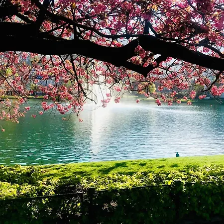 Apartman Central, Lovely With A Unique View