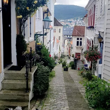 Central, Lovely With A Unique View Bergen