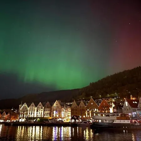 Central, Lovely With A Unique View Bergen