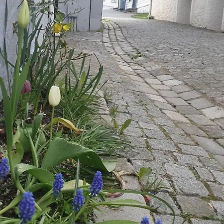 Central, Lovely With A Unique View Apartamento *